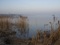 DSC3778