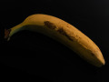271220_aging_inc_5