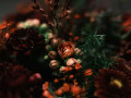 jule_udfordring_2020_1