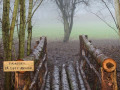 030120_rosenholm_10