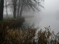 030120_rosenholm_6