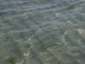 DSCF0854.RAF_