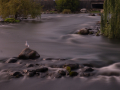 DSCF0903
