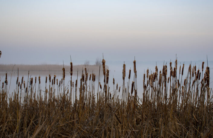 egaa_engso_180219_2